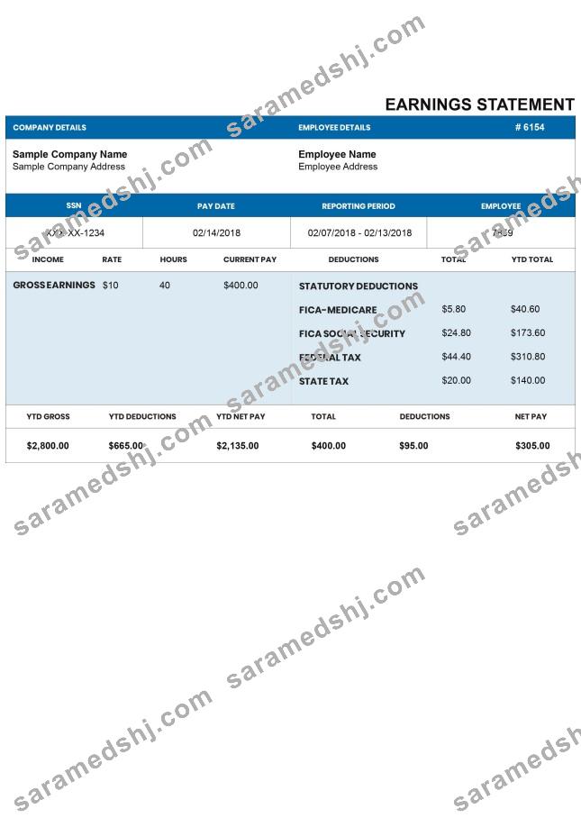 DARKBLUE pay stub Word and PDF template
